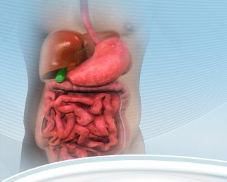 GASTRO VISION    